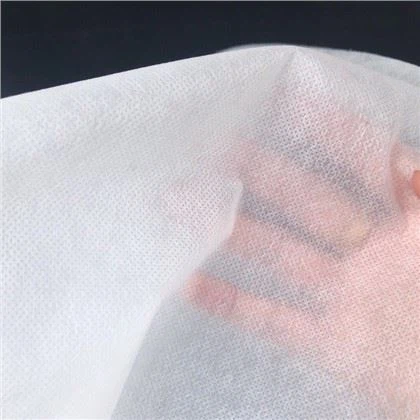 PLA Spunbonded Nonwoven Fabric